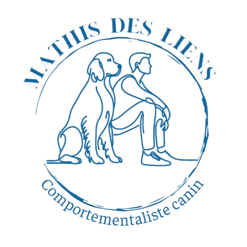 LOGO mathisdesliens